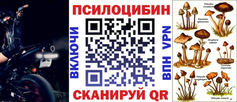 цены Нерюнгри Псилоцибиновые грибы ЛСД